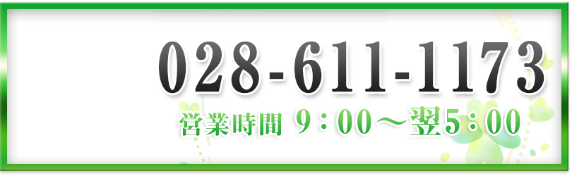 宇都宮 風俗 デリベリーヘルス 人妻 ナチュラルミセス